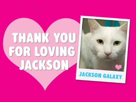 Thank You Love of Jackson.jpg